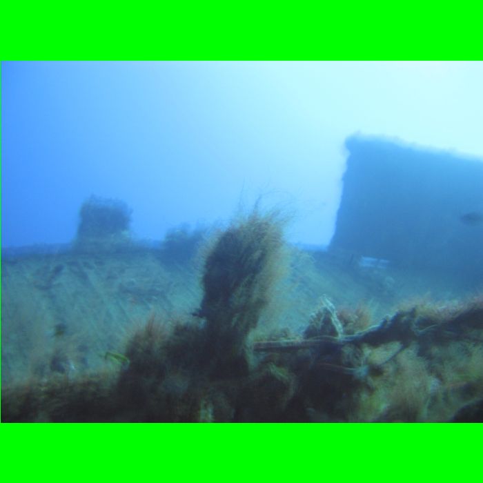 Dive WP Wrecks 25-Oct-09_317.JPG